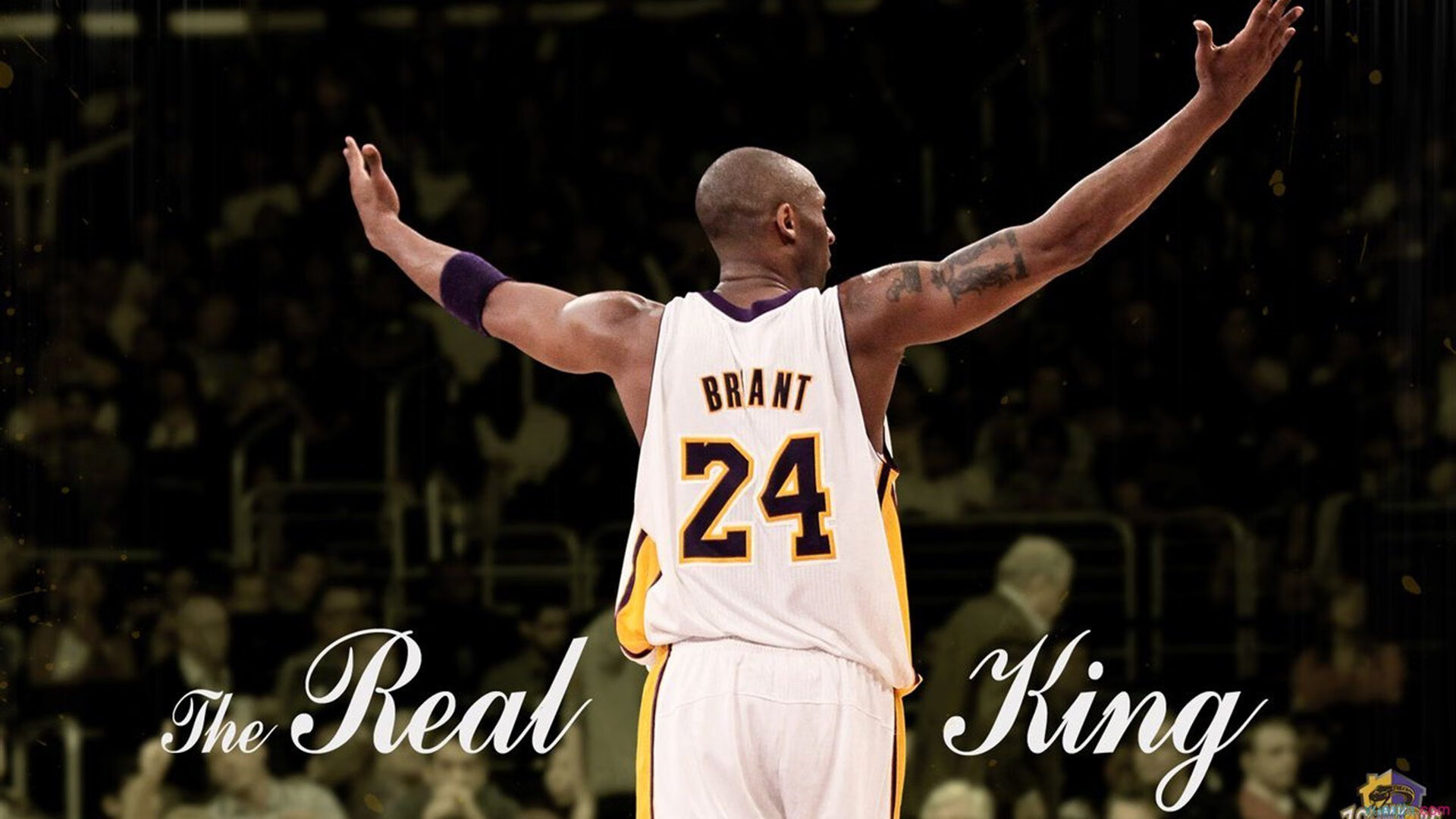 杜兰特，F1街道赛之夜，压力熔炉中的极限绽放